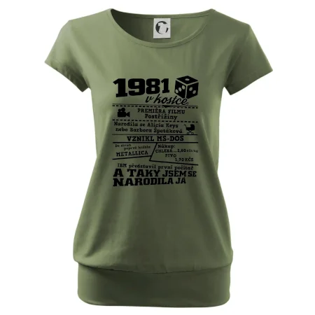 1981 v kostce