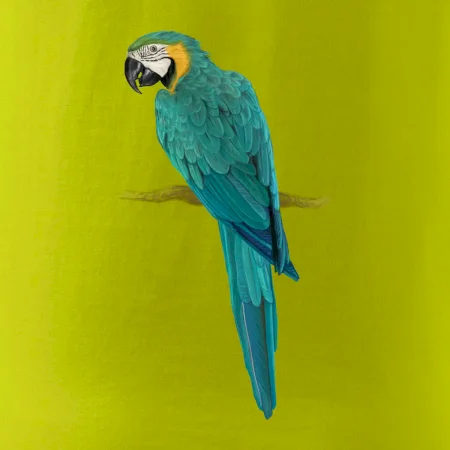 Ara