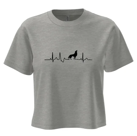 Vlk ekg