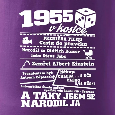 1955 v kostce