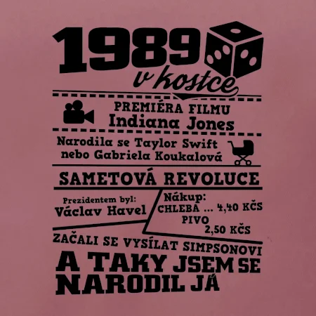 1989 v kostce