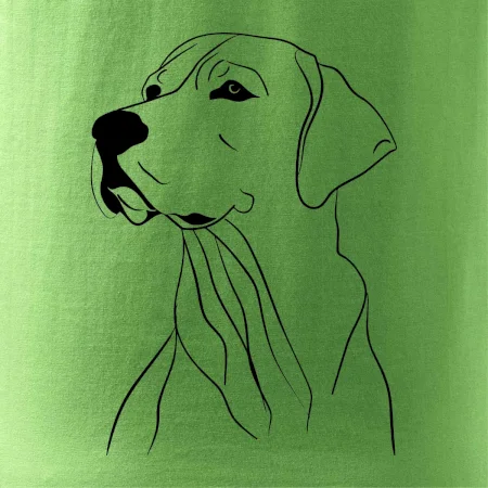 Labrador černá kresba