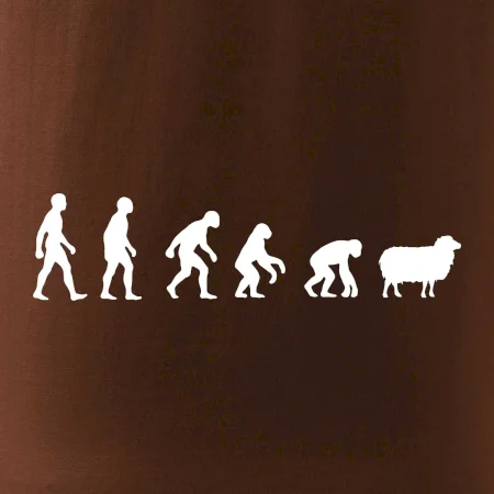 Evoluce ovce