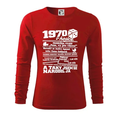 1970 v kostce