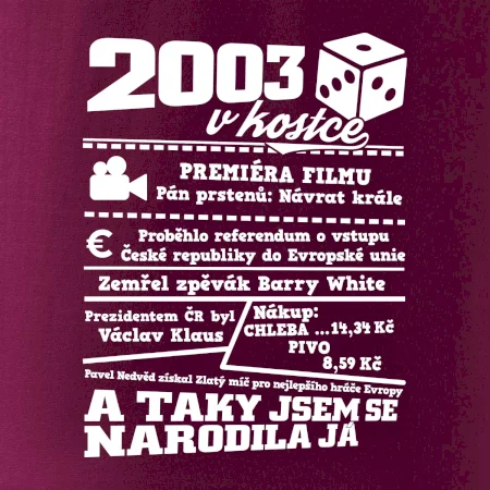 2003 v kostce