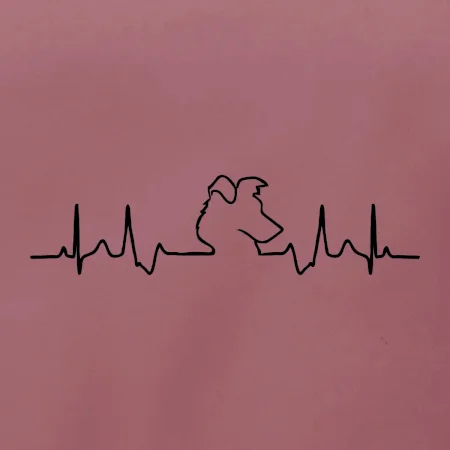 Border kolie EKG