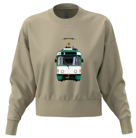 T3R SLF čelo tramvaje linka 3