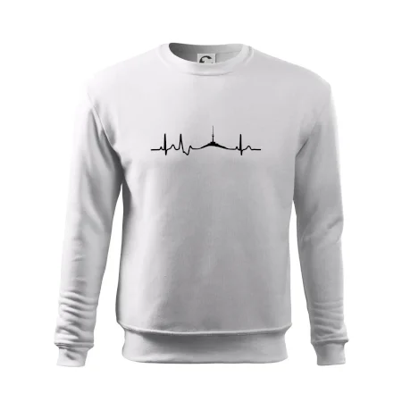 Ekg Jeseníky