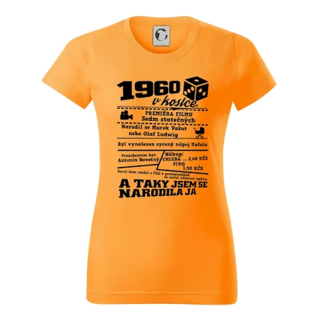 1960 v kostce