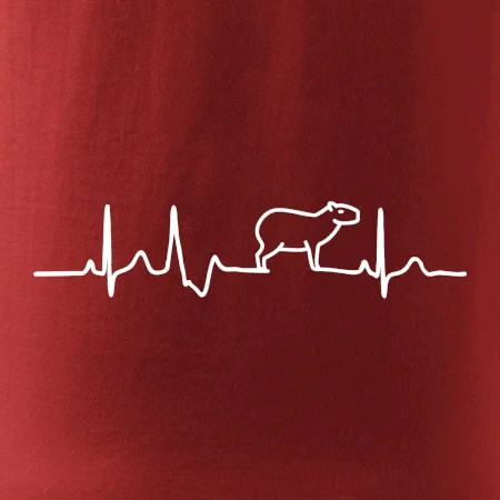 Ekg Capybara