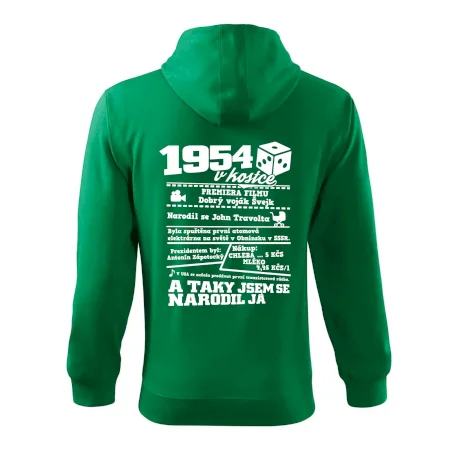 1954 v kostce