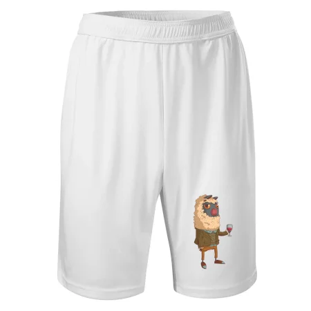 Alpaka s vínem muž