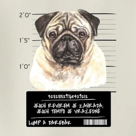 Lump a darebák mopsík