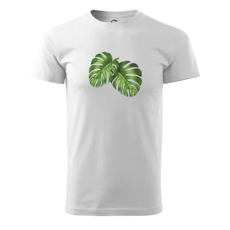 Monstera - dva listy