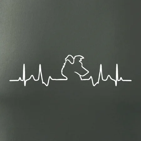 Border kolie EKG