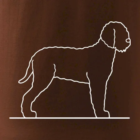 Lagotto romagnolo stojící