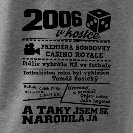 2006 v kostce
