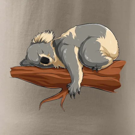 Koala na větvi