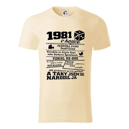 1981 v kostce
