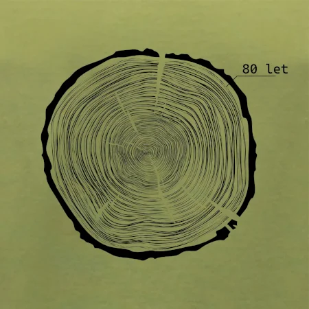 Letokruhy - 80