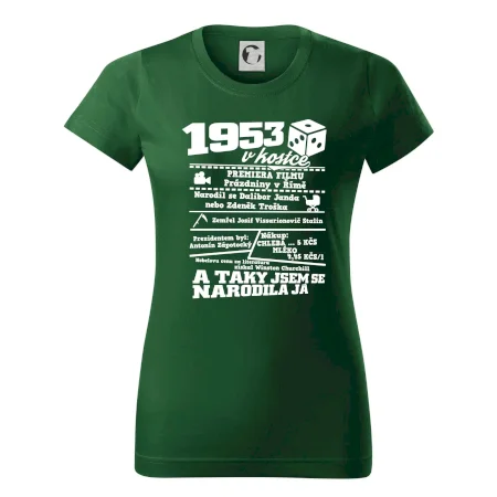 1953 v kostce