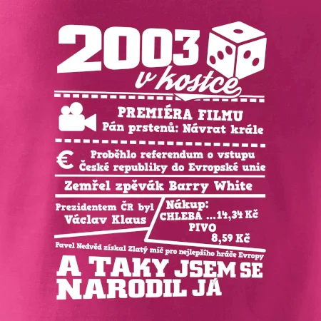 2003 v kostce