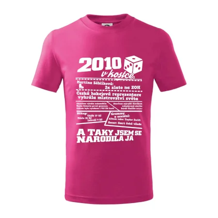 2010 v kostce
