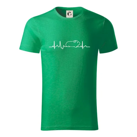 EKG morče