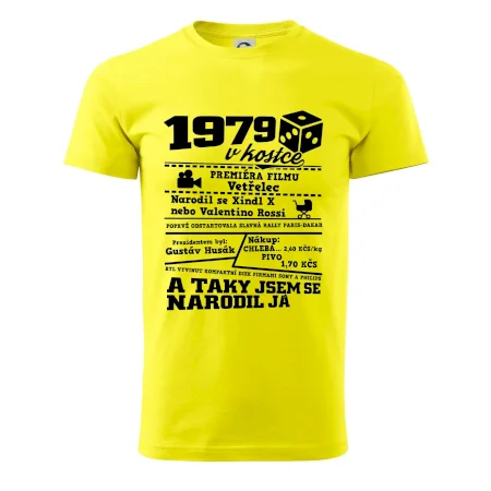 1979 v kostce