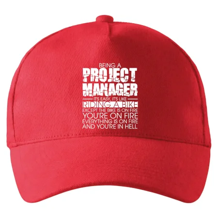 Being A Project Manager - bike