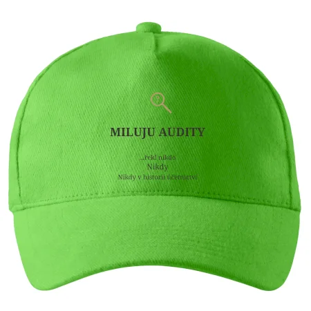 Miluju audity řekl nikdo nikdy