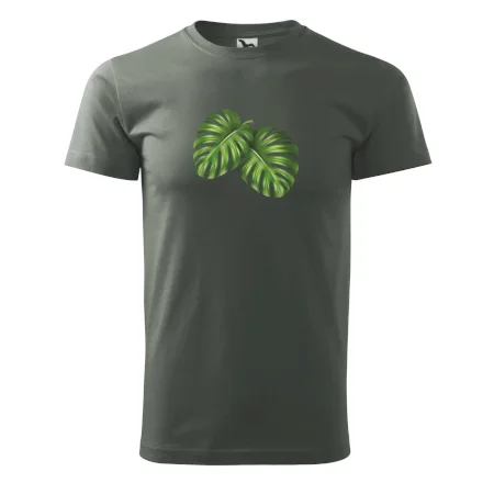 Monstera - dva listy