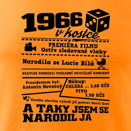 1966 v kostce