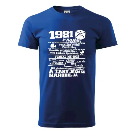 1981 v kostce