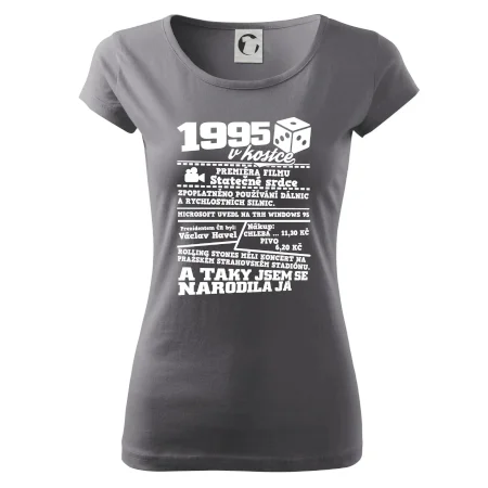 1995 v kostce