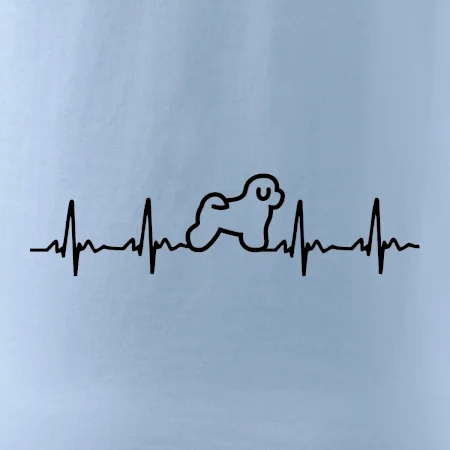 Bišonek ekg