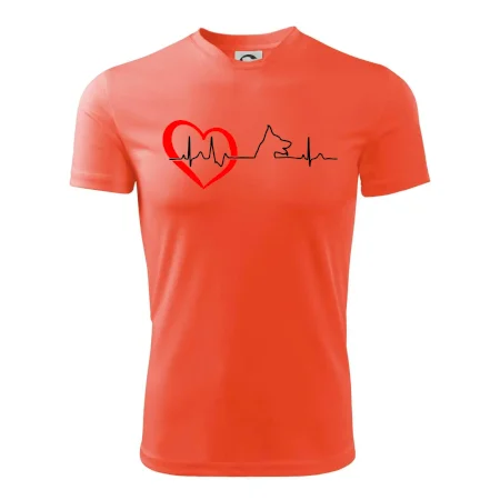 Německý ovčák ekg