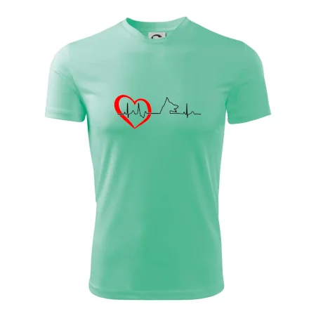 Německý ovčák ekg