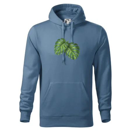Monstera - dva listy