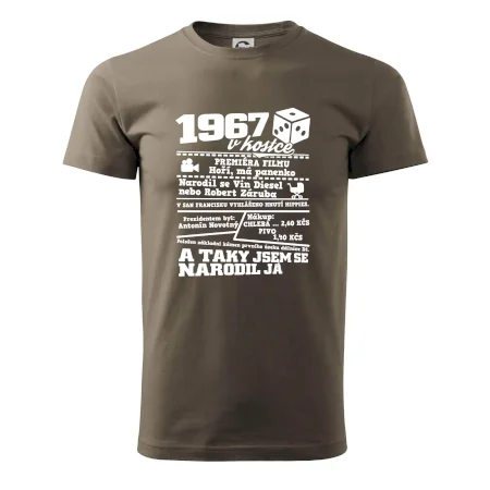 1967 v kostce