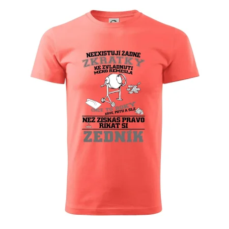Zedník zkratky