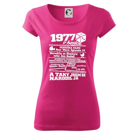 1977 v kostce