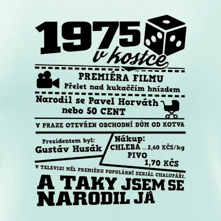 1975 v kostce