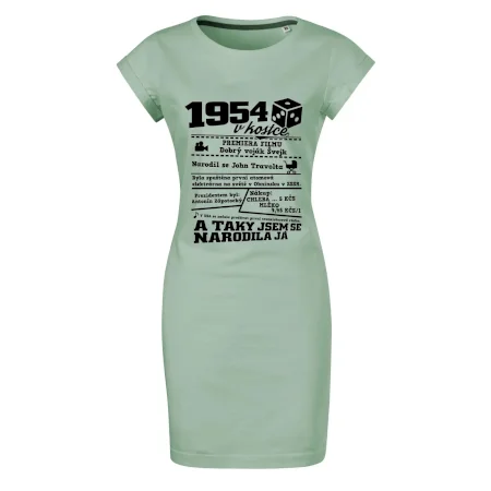 1954 v kostce