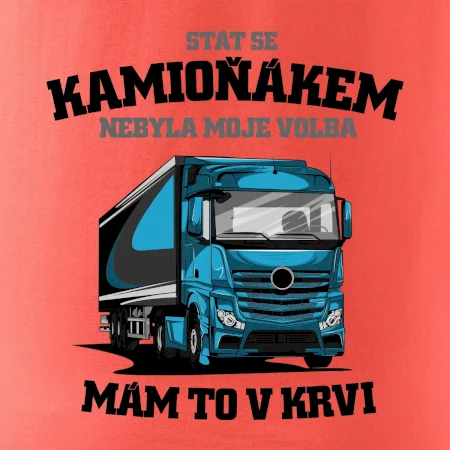 Stát se kamioňákem nebyla moje volba