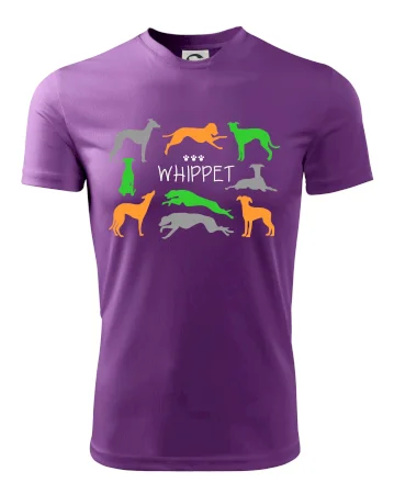 Whippet barevný