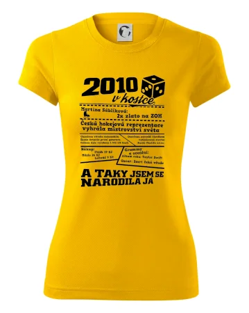 2010 v kostce
