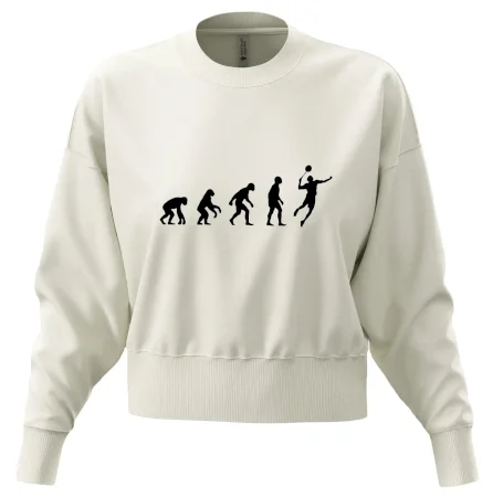Evoluce Badminton