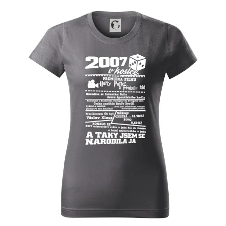 2007 v kostce