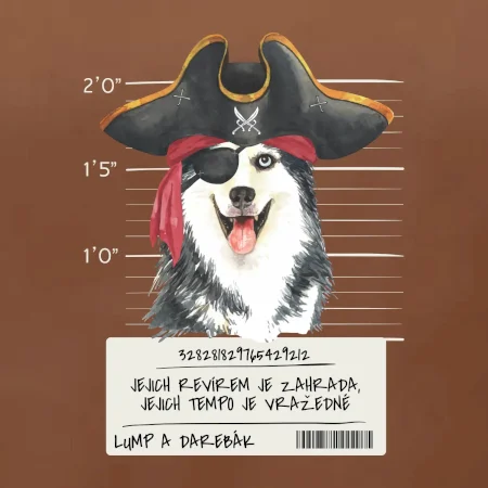 Lump a darebák husky
